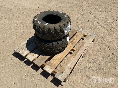 (2) MASSFX AT25X10-12 Tires