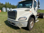 General Appearance with Paint
