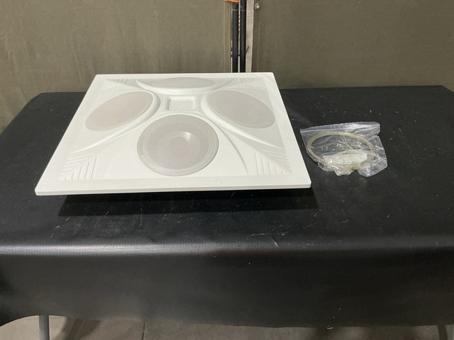(17) Pro Acoustics SD4 Ceiling Speaker Arrays