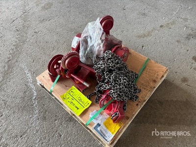 Quantity of Chain Hoist