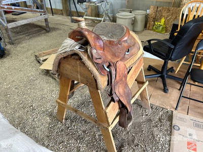 15 in Saddle Varios, Ganado