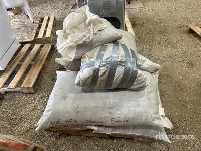 Quantity of (5) WR 590 Meadow Brome