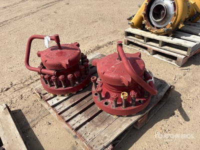 Quantity of (2) Pigging Head Doors