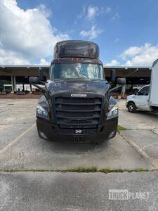 2020 Freightliner Cascadia 116 Cabina per trattore stradale 2 assi