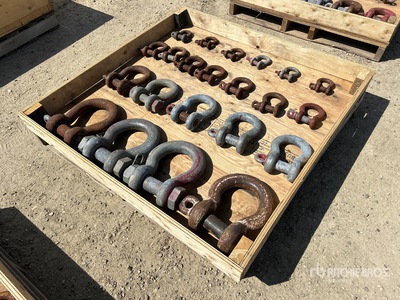 Quantity of Crosby Shackle