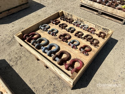 Quantity of Crosby Shackle
