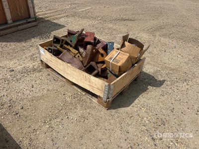 Quantity of Teeth