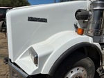 General Appearance with Paint