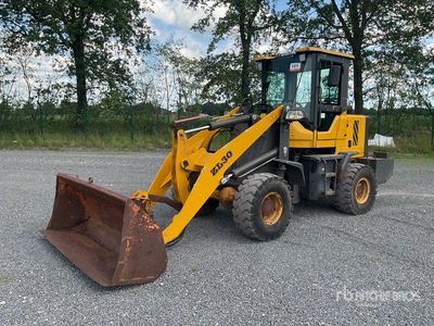 2020 Shan ZL 30 Radlader