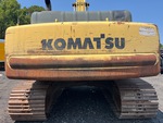 General Appearance with Paint