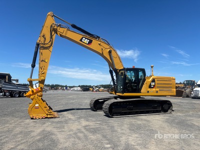 2019 Cat 336 Escavatore cingolato