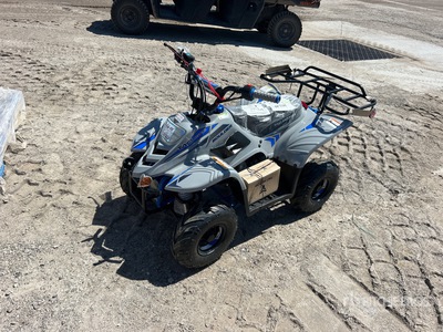 2025 Baike Vehicle Vietnam B110S 4x2 Geländefahrzeug