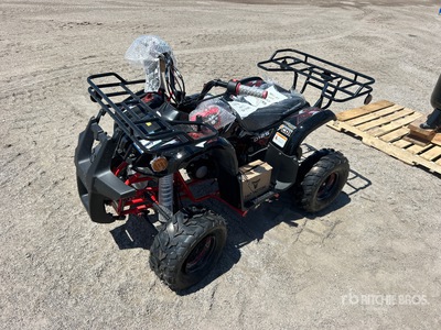 2025 Tao Motor D125 4x2 Geländefahrzeug