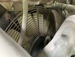 Engine with Radiator