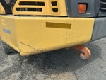 General Appearance with Pintura