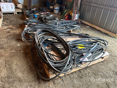 Variety of Belts