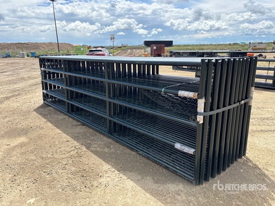 Quantity of (20) BYT RG1016 16 ft HD Ranch Portail pour bétail