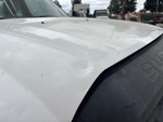 General Appearance with Sheet Metal (fiberglass) Condition