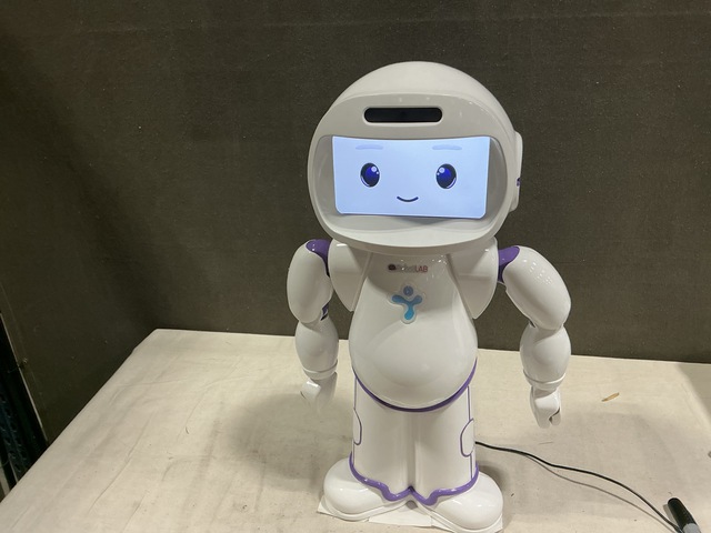 (2) LuxAI QT-TP19 QTrobot Educational Robots (2) LuxAI QT-TP19 QTrobot Educational Robots