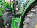 General Appearance with Paint