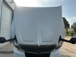 General Appearance with Paint