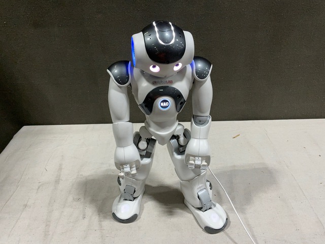 (2) RobotLAB NAO Educational Robots (2) RobotLAB NAO Educational Robots