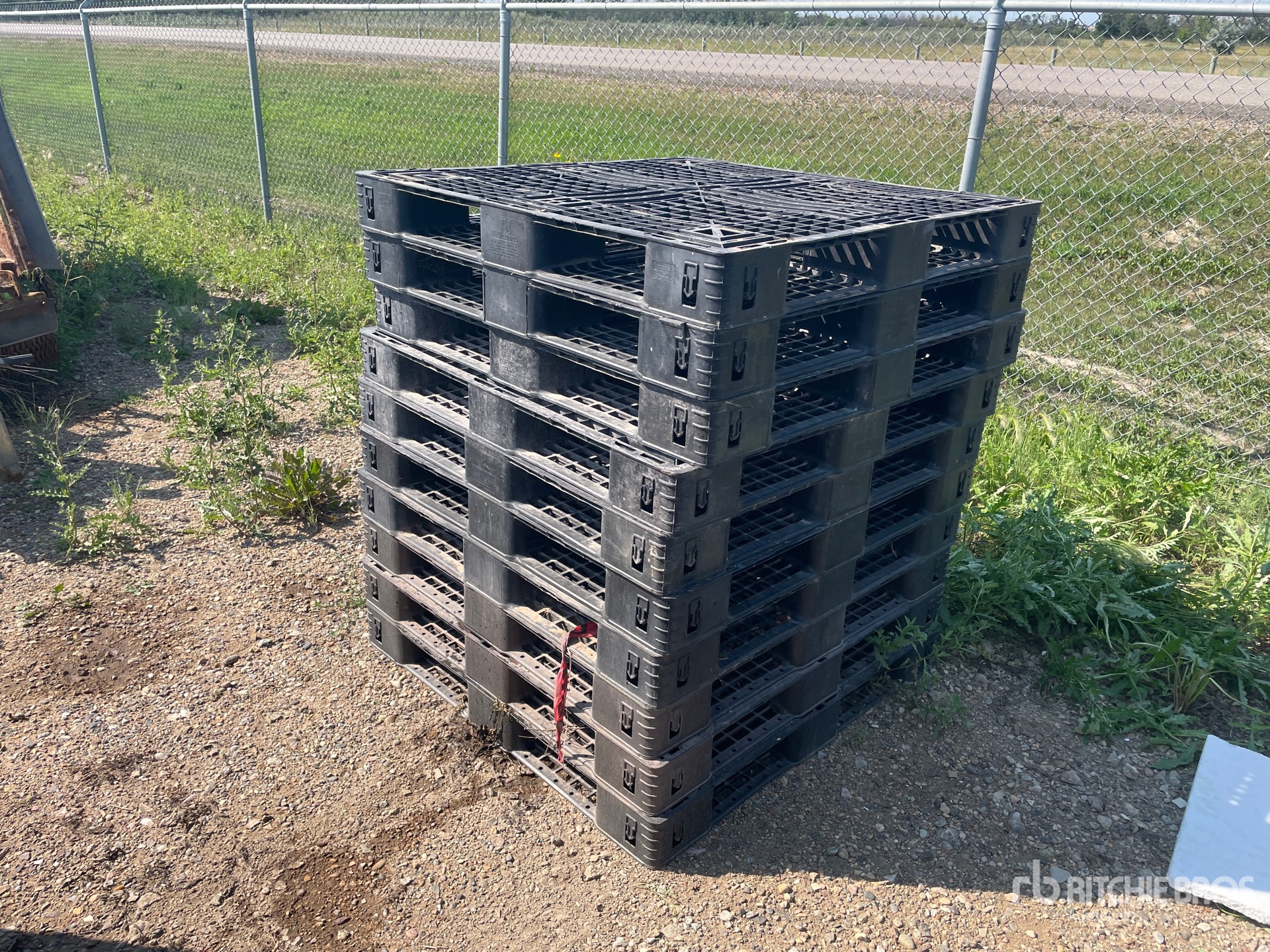 Quantity of (10) Plastic Pallets