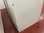 General Appearance #3
