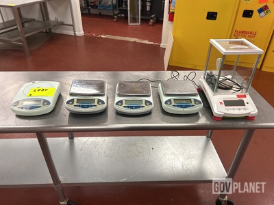 (5) Scales