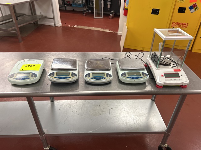 (5) Scales (5) Scales