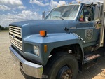 General Appearance with Paint
