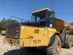 General Appearance with Paint