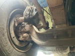 Underbody with 