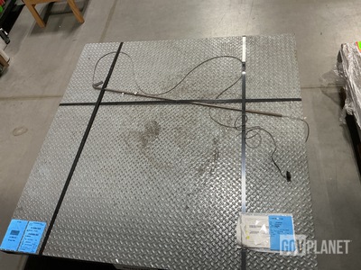 (2) Floor Scales