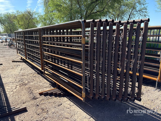 Quantity of (10) Lone Star 24 ft x 5 ft Livestock Panel