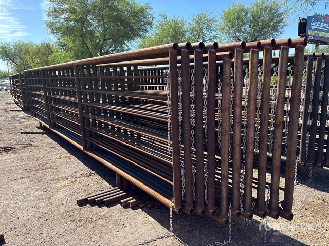 Quantity of (10) Lone Star 24 ft x 5 ft Livestock Panel