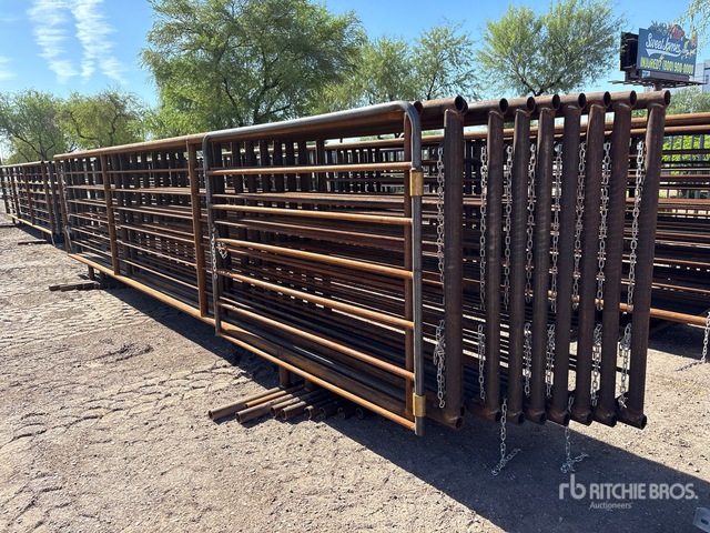 Quantity of (10) Lone Star 24 ft x 5 ft Livestock Panel