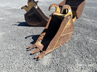 Cat 21 in Digging Excavator Bucket