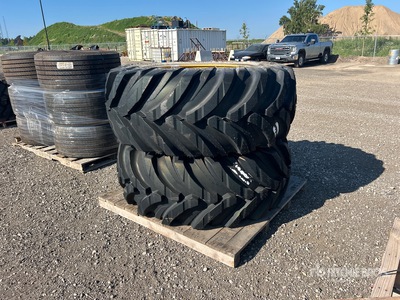 Quantity of (2) Nokian 600/65-34 24PR TRS 2 Tires