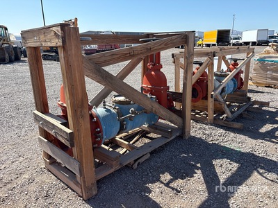 Quantity of (3) Valves Raccordi