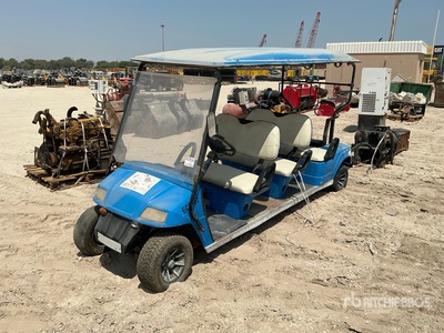 2018 Electric Carro de golf