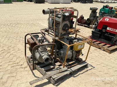 Quantity of (4) Skid-Mounted Wasserpumpe