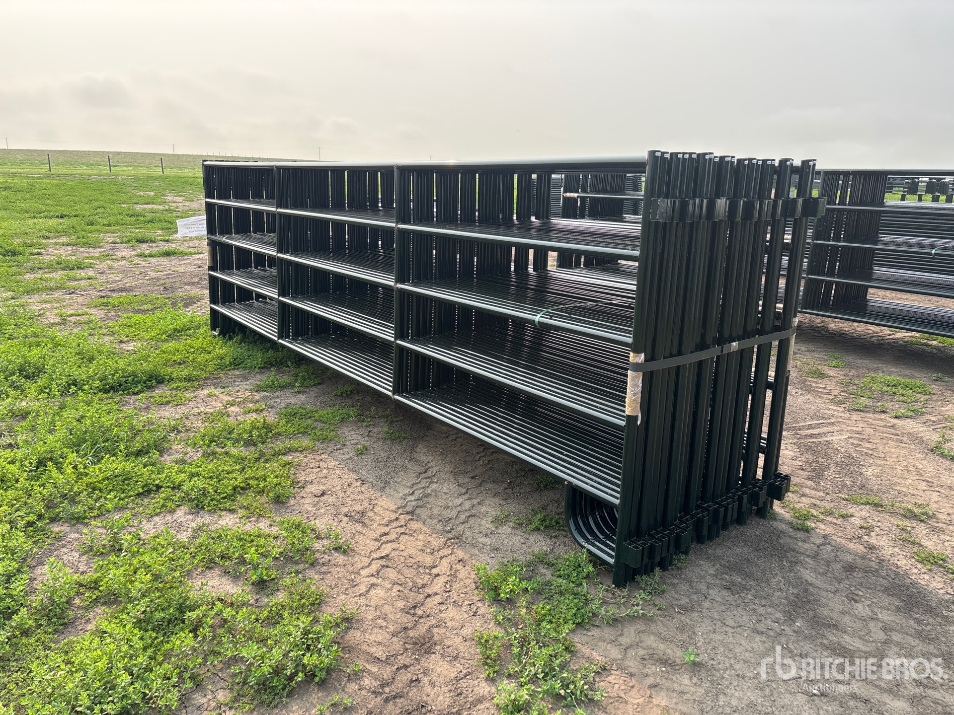 Quantity of (24) 2026 BYT RP160 16 ft Livestock Panel (Unused)