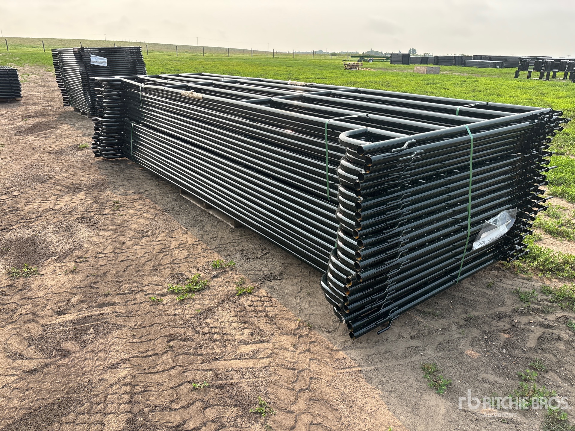 Quantity of (22) 2026 BYT RP160 16 ft Livestock Panel (Unused)