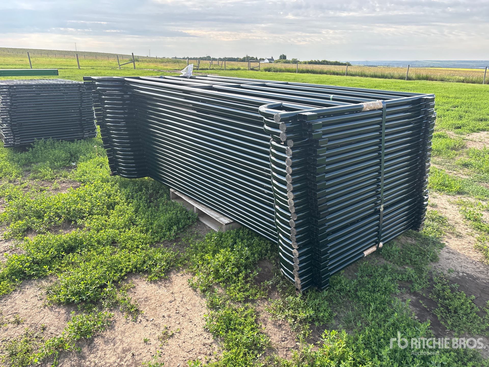 Quantity of (24) 2025 BYT MDRP96 9 ft 6 in Livestock Panel (Unused)