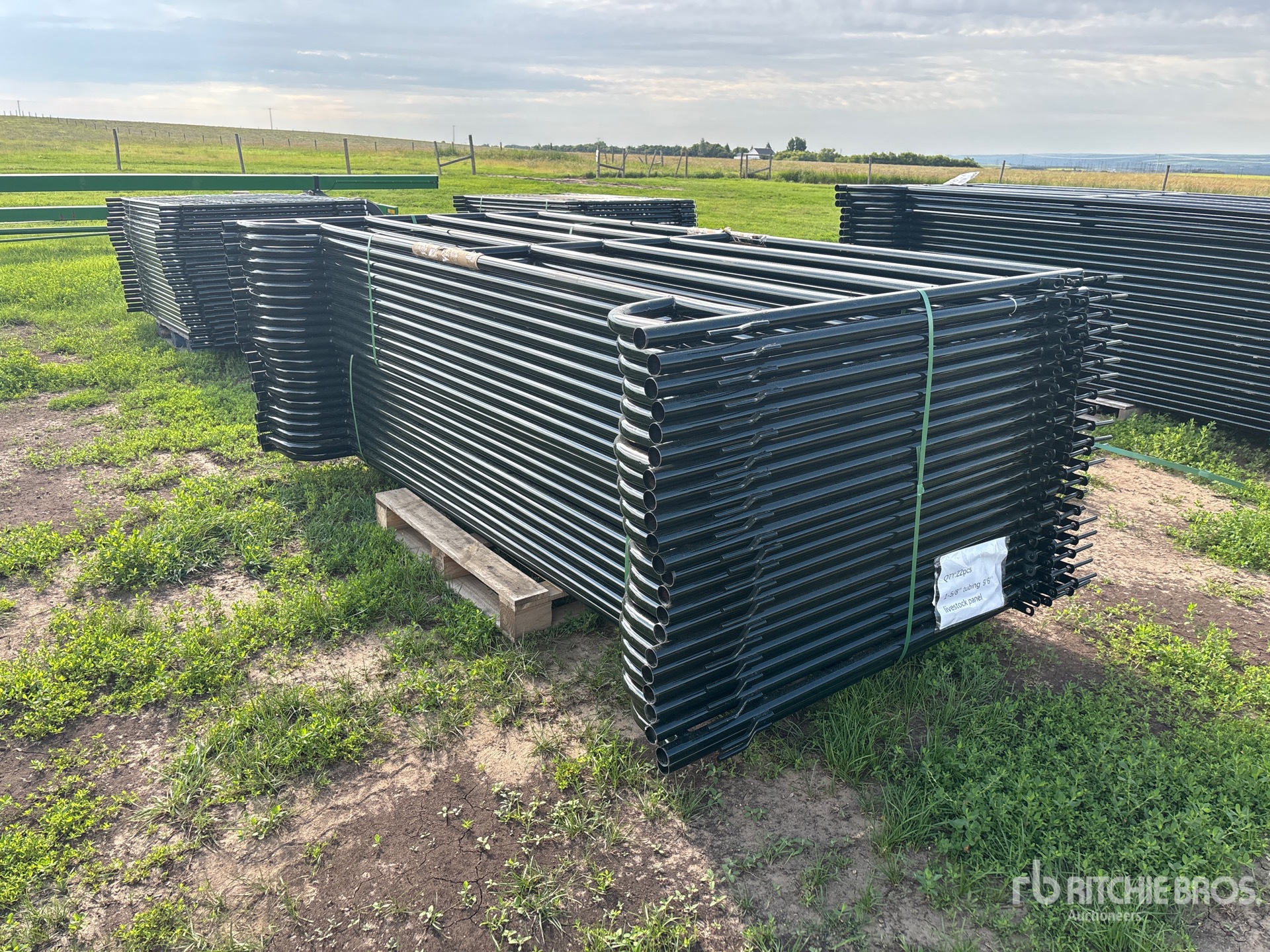 Quantity of (22) 2025 BYT MDRP96 9 ft 6 in Livestock Panel (Unused)