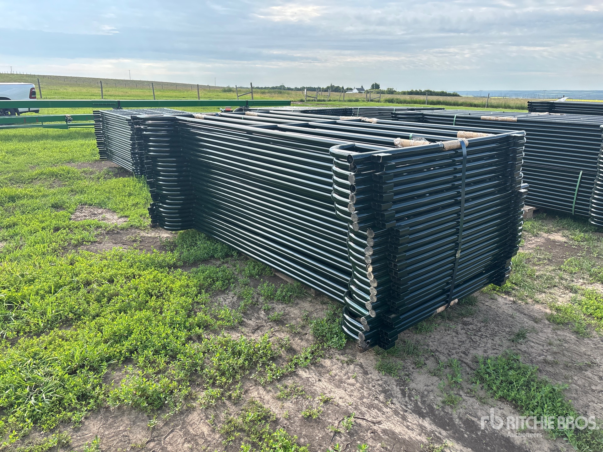 Quantity of (24) 2025 BYT MDRP96 9 ft 6 in Livestock Panel (Unused)