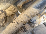 4 Underbody - Truck with 