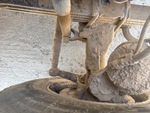 4 Underbody - Truck with 