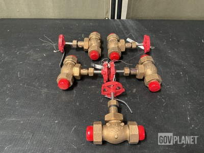 (14) 803-4384536 Globe Valves